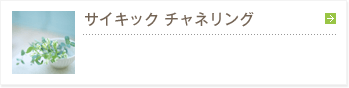 サイキック チャネリング