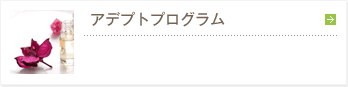 アデプトプログラム