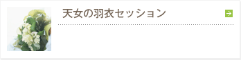 天女の羽衣セッション