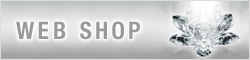 WEB SHOP