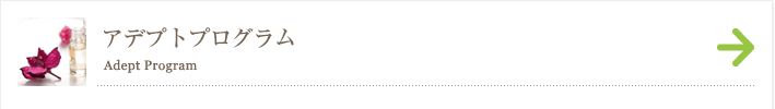 アデプトプログラム