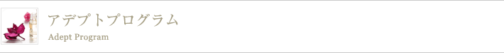 アデプトプログラム