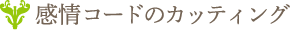 感情コードのカッティング
