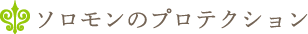 ソロモンのプロテクション