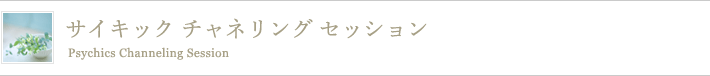 サイキック チャネリング セッション