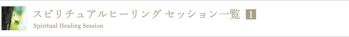 スピリチュアルヒーリング セッション一覧１
