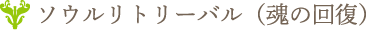 ソウルリトリーバル（魂の回復）